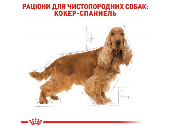 Фото - сухий корм Royal Canin COCKER ADULT (КОКЕР ЕДАЛТ) корм для собак від 10 місяців