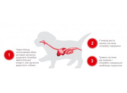 Фото 8 -  вологий корм (консерви) Royal Canin STARTER MOUSSE (СТАРТЕР МУС) вологий корм для цуценят та сук при вагітності та лактації