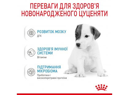 Фото 10 -  заменители молока Royal Canin BABYDOG MILK Заменитель молока для щенков