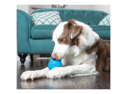 Фото 4 -  іграшки PetSafe Busy Buddy Hippster іграшка для собак БЕГЕМОТ