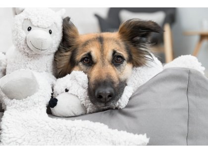 Фото 3 -  іграшки Trixie Be Eco Elenor Donkey іграшка для собак ОСЛИК (34877)