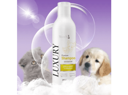 Фото 4 -  щоденний догляд (шампуні, кондиціонери та інші засоби) Modes Luxury Shampoo преміальний шампунь для кошенят і цуценят