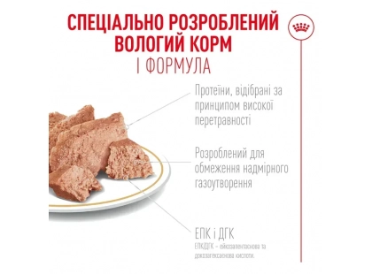 Фото 5 -  влажный корм (консервы) Royal Canin FRENCH BULLDOG ADULT влажный корм для собак ФРАНЦУЗКИЙ БУЛЬДОГ