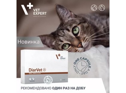 Фото 4 -  для желудочно-кишечного тракта (ЖКТ) VetExpert (ВетЭксперт) DiarVet Small Breed & Cats таблетки от диареи для кошек и маленьких собак