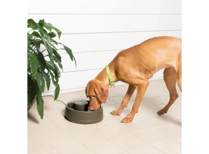 Фото 3 -  миски, напувалки, фонтани PetSafe Drinkwell Current автоматична поїлка-фонтан для собак і котів