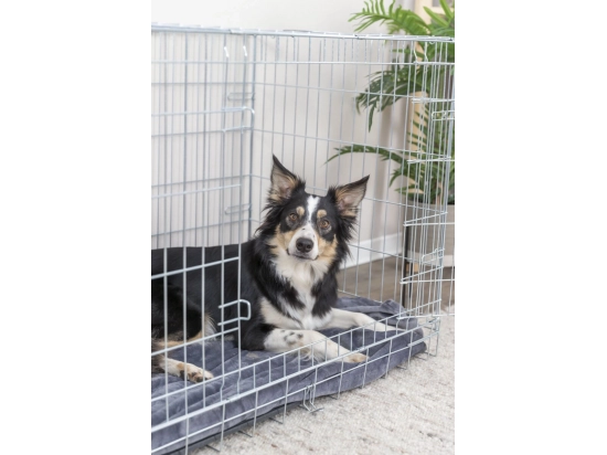 Фото - клетки, вольеры Trixie HOME KENNEL клетка переносная для собак