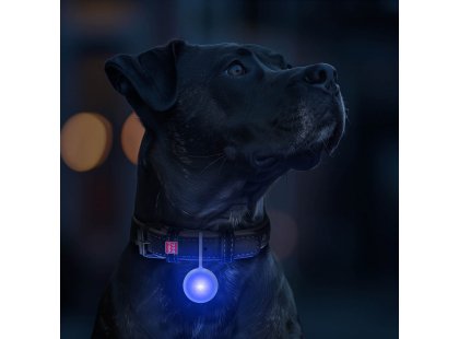 Фото 3 -  амуниция Collar WAUDOG фонарик на ошейник для собак и кошек