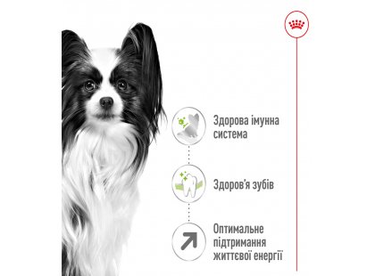 Фото 5 -  сухий корм Royal Canin X-SMALL ADULT 8+ (СОБАКИ ДРІБНИХ ПОРІД ЕДАЛТ 8+) корм для собак від 8 років