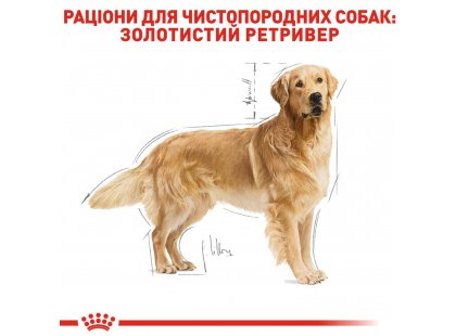 Фото - сухий корм Royal Canin GOLDEN RETRIEVER ADULT (ГОЛДЕН РЕТРІВЕР ЕДАЛТ) корм для собак від 15 місяців