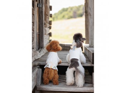 Фото 5 -  одяг Pet Fashion Maryana вишиванка для собак