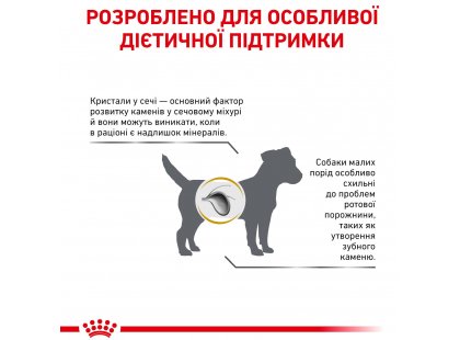 Фото - ветеринарные корма Royal Canin URINARY S/O SMALL DOG сухой лечебный корм для собак малых пород (менее 10 кг), 1,5 кг