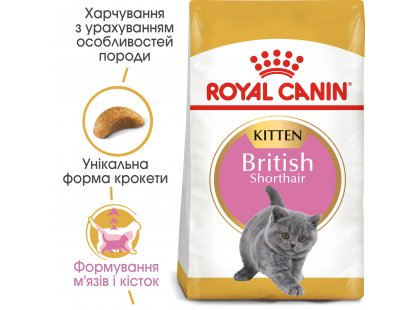 Фото 10 -  сухой корм Royal Canin Kitten BRITISH SHORTHAIR (БРИТАНСКАЯ КОРОТКОШЕРСТНАЯ КИТТЕН) корм для котят до 12 месяцев