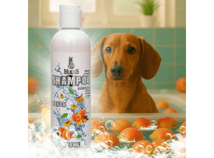 Фото 2 -  щоденний догляд (шампуні, кондиціонери та інші засоби) Modes Shampoo Peach шампунь для кошенят і цуценят АРОМАТ ПЕРСИКА