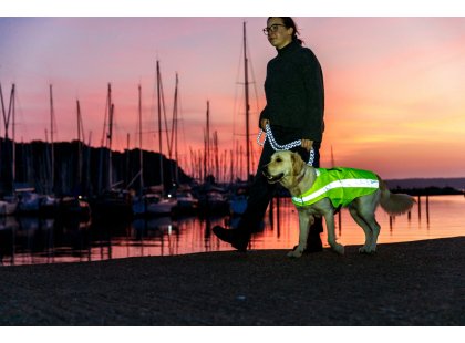 Фото 10 -  одяг Trixie Захисний світловідбиваючий жилет для собак, жовтий неон