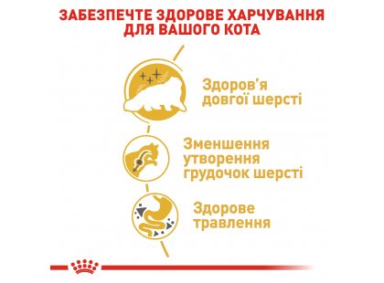 Фото 8 -  сухий корм Royal Canin PERSIAN (ПЕРСІАН) корм для котів від 1 року
