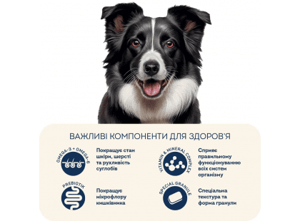 Фото 7 -  сухой корм Home Food (Хоум Фуд) Dog Adult Medium-Maxi Lamb with Rice корм для активных собак и юниоров средних и крупных пород ЯГНЕНОК И РИС