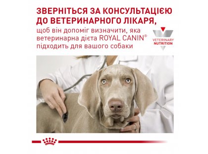 Фото - ветеринарные корма Royal Canin ANALLERGENIC SMALL DOG сухой лечебный корм для собак мелких пород