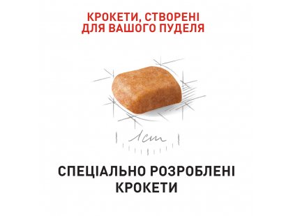 Фото 4 -  сухий корм Royal Canin POODLE PUPPY корм для цуценят пуделя до 10 місяців