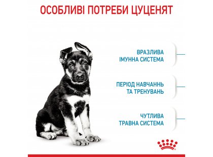 Фото 3 -  сухий корм Royal Canin MAXI PUPPY корм для цуценят великих порід від 2 до 15 місяців