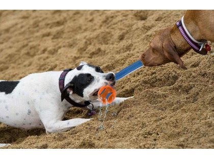 Фото 5 -  игрушки CHUCKIT Hydrosqueeze Duo Tug игрушка для собак 2 МЯЧА С РЕМНЕМ