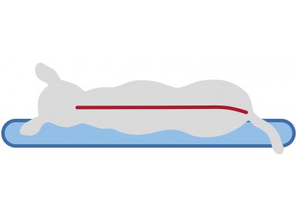 Фото 6 -  лежаки, матраси, килимки та будиночки Trixie Vital Mattress Bendson ортопедичний лежак для собак, світло-сірий