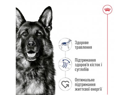 Фото 3 -  сухий корм Royal Canin MAXI ADULT (СОБАКИ ВЕЛИКИХ ПОРІД ЕДАЛТ) корм для собак до 5 років