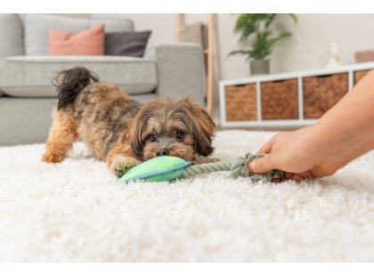 Фото 3 -  іграшки Trixie Paw on Rope іграшка для собак ЛАПА НА КАНАТІ (36130)