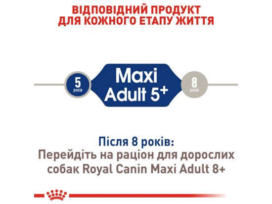 Фото - сухий корм Royal Canin MAXI ADULT 5+ (СОБАКИ ВЕЛИКИХ ПОРІД ЕДАЛТ 5+) корм для собак від 5 років