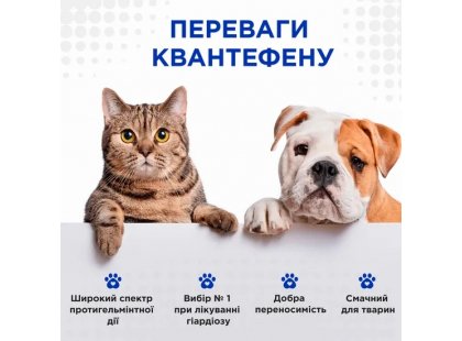 Фото 5 -  от глистов Modes Kvantefen антигельминтные таблетки для кошек и собак ВКУС ГОВЯДИНЫ