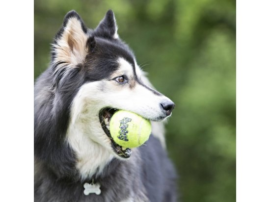 Фото - іграшки Kong SQUEAK AIR BALL іграшка для собак пищалка ТЕНІСНИЙ М'ЯЧИК