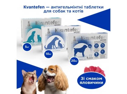 Фото 6 -  от глистов Modes Kvantefen антигельминтные таблетки для кошек и собак ВКУС ГОВЯДИНЫ