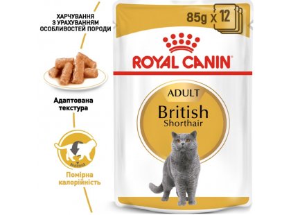 Фото 7 -  влажный корм (консервы) Royal Canin BRITISH SHORTHAIR ADULT влажный корм для кошек породы британская короткошерстная