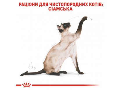 Фото - сухой корм Royal Canin SIAMESE (СИАМЕС) корм для кошек от 1 года