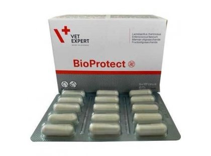 Фото 2 -  для желудочно-кишечного тракта (ЖКТ) VetExpert (ВетЭксперт) BioProtect (БиоПротект) при нарушениях работы ЖКТ у кошек и собак (пробиотики, пребиотики, МОС)