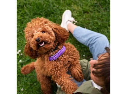 Фото 4 -  повсякденна косметика Hydra Retail Forever Fresh Cologne парфуми для собак і котів СВІЖИЙ АРОМАТ