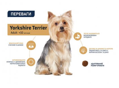 Фото - сухий корм Advance YORKSHIRE TERRIER корм для йоркширських тер'єрів (з куркою та рисом)