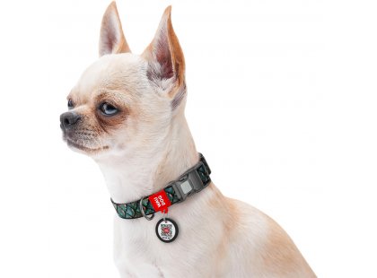 Фото 6 -  амуніція Collar WAUDOG Nylon нейлоновий нашийник для собак з QR-адресою, пластиковий фастекс, ЛУСКА