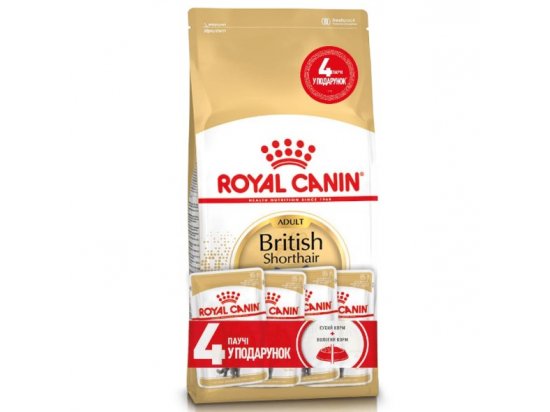 Фото - Royal Canin BRITISH SHORTHAIR (БРИТАНСЬКА КОРОТКОШЕРСНА) корм для кішок сухий корм Royal Canin BRITISH SHORTHAIR (БРИТАНСЬКА КОРОТКОШЕРСНА) корм для кішок