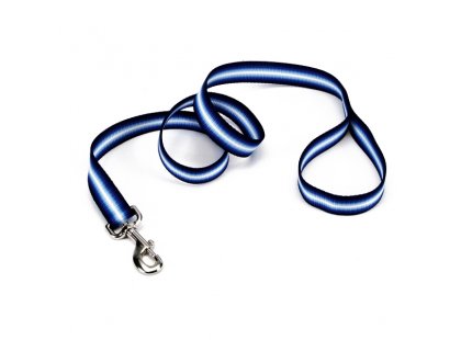 Фото - Coastal Trendz Graduated поводок нейлоновый для собак, синий амуниция Coastal Trendz Graduated поводок нейлоновый для собак, синий