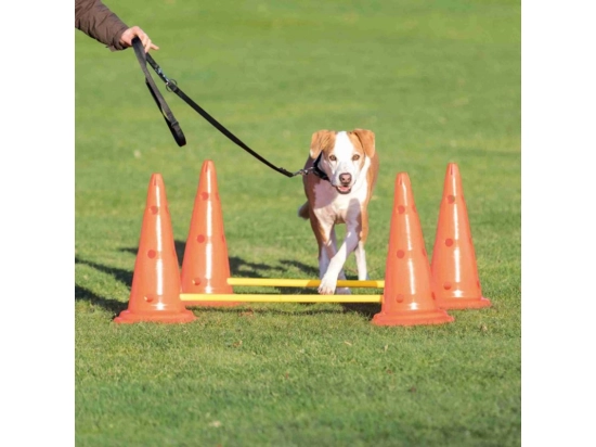 Фото - дрессировка и спорт Trixie DOG ACTIVITY набор препятствий для собак