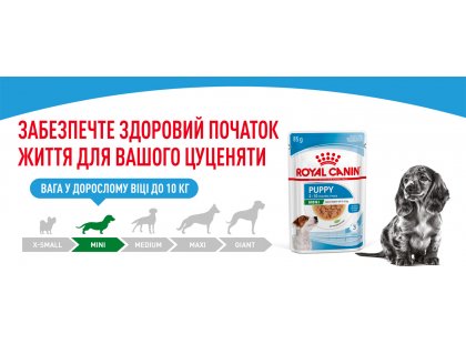 Фото 13 -  вологий корм (консерви) Royal Canin MINI PUPPY вологий корм для цуценят дрібних порід від 2 до 10 місяців