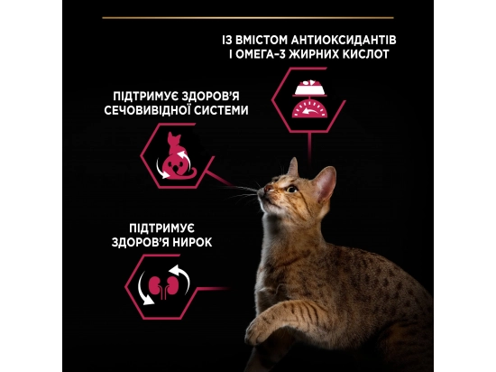 Фото - сухой корм Purina Pro Plan (Пурина Про План) Adult Sterilised Savoury Duo Duck & Liver сухой корм для стерилизованных кошек УТКА И ПЕЧЕНЬ