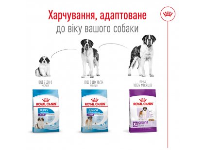 Фото 6 -  сухий корм Royal Canin GIANT ADULT (СОБАКИ ГІГАНТСЬКИХ ПОРІД ЕДАЛТ) корм для собак від 18 місяців