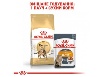 Фото - сухий корм Royal Canin BENGAL ADULT (БЕНГАЛ ЕДАЛТ) корм для котів від 1 року