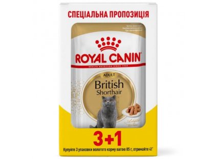 Фото - Royal Canin BRITISH SHORTHAIR ADULT вологий корм для котів породи британська короткошерста вологий корм (консерви) Royal Canin BRITISH SHORTHAIR ADULT вологий корм для котів породи британська короткошерста