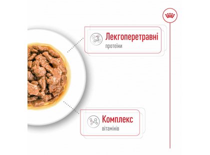 Фото 5 -  вологий корм (консерви) Royal Canin MINI ADULT вологий корм для дорослих собак дрібних порід від 10 місяців до 12 років