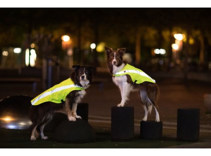 Фото 9 -  одяг Trixie Захисний світловідбиваючий жилет для собак, жовтий неон