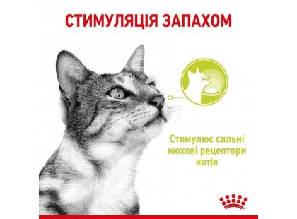 Фото - влажный корм (консервы) Royal Canin SENSORY SMELL JELLY консервы для кошек привередливых к аромату