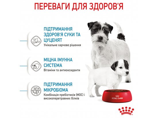 Фото - сухой корм Royal Canin MINI STARTER MOTHER & BABYDOG корм для беременных и кормящих сук и щенков мини-пород