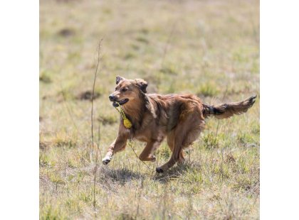 Фото 2 -  іграшки Trixie Jumper on Rope іграшка для собак СТРИБУН НА КАНАТІ, лайм